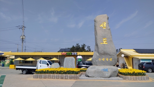 3월 30일부터 전남 신안군 ‘선도’ 에서 열릴 수선화 축제 현장./장주인 시민기자