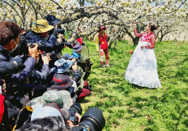 한국사진작가협회 나주시지부(지부장 양성근)는 4월 8일 오전 나주배박물관에서 배꽃 유채꽃 전국 사진촬영대회 개막식을 가졌다.